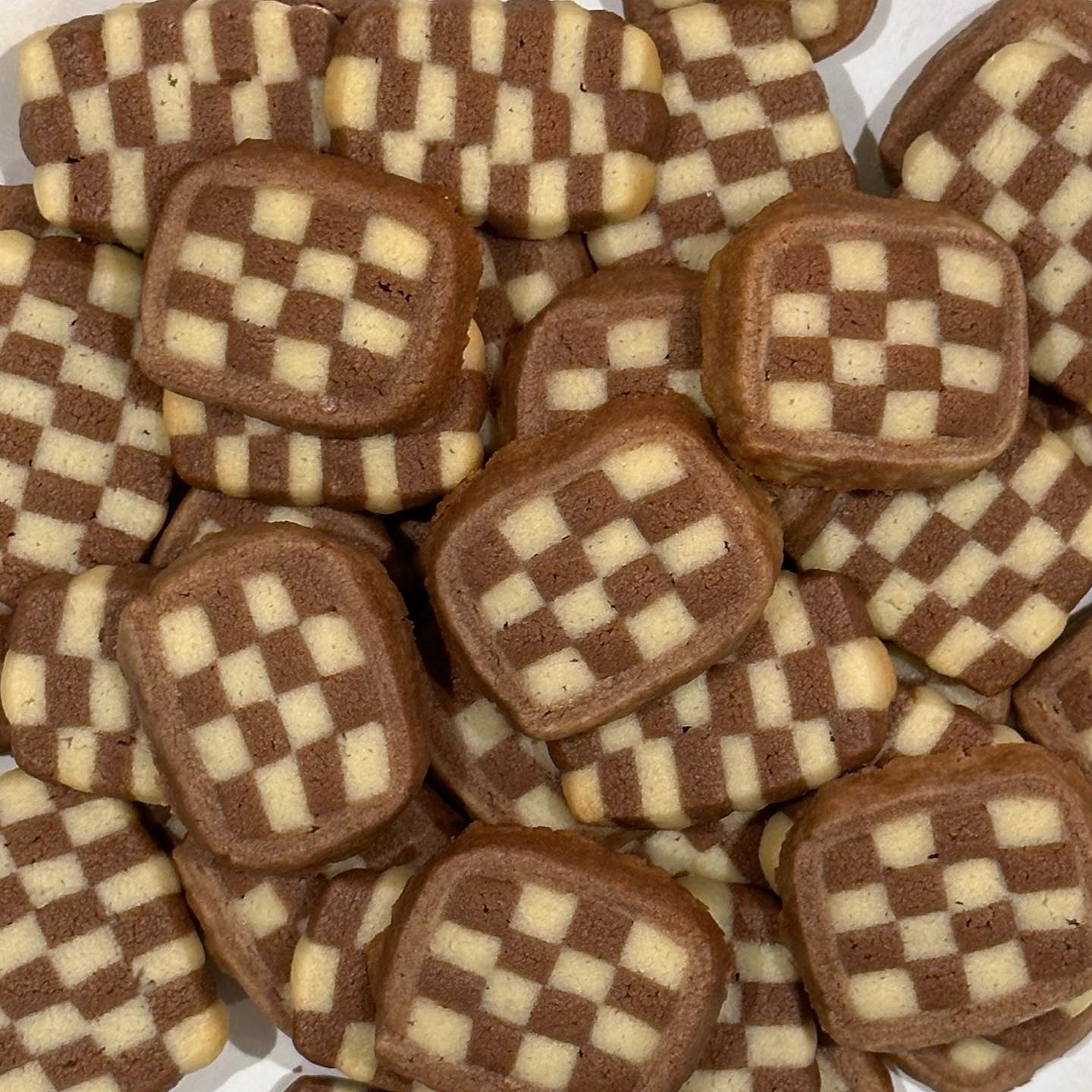 (Pre-order) Checkerboard sable (180g)